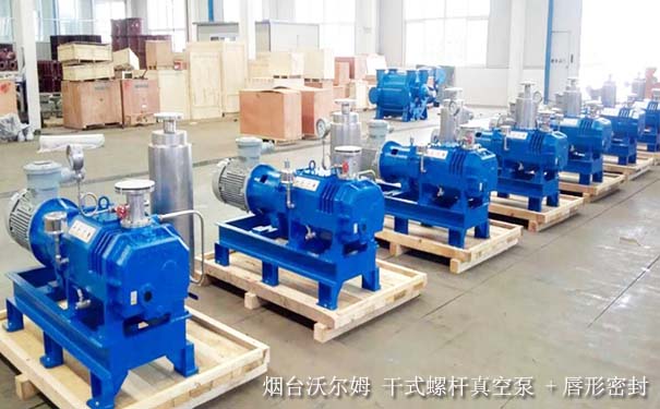 ?【真空泵廠】山東真空泵廠家哪家好？推薦沃爾姆品牌廠家直銷(xiāo)
